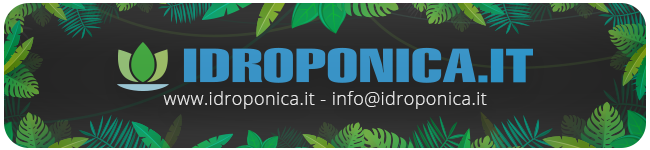 Idroponica